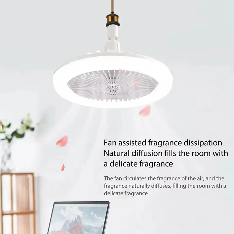 2 In 1 Ceiling Fan Lamps 3 Spe - огляд і ціна Ceiling Fan Mount