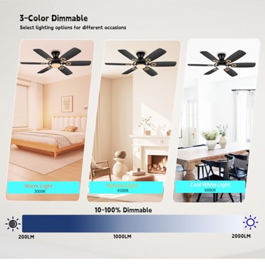 Ceiling Fans with Lights, Blac - огляд і ціна Ceiling Fan Mount